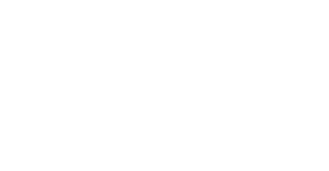 Integrity V4