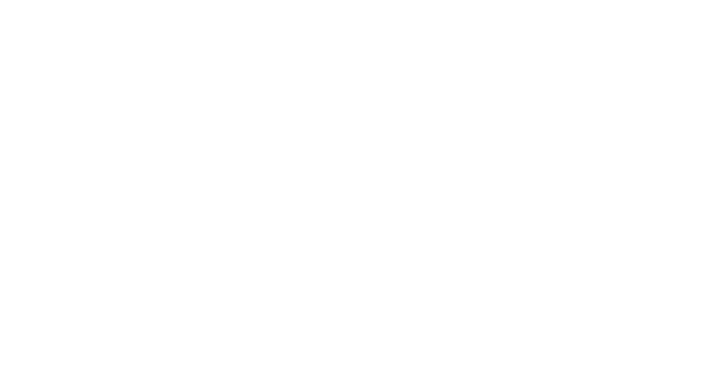 SSI people - customer logo - V3